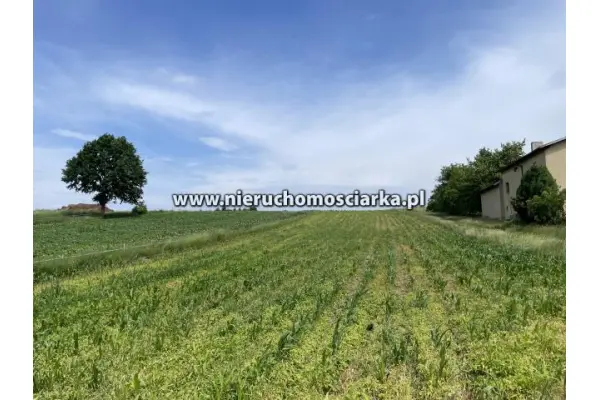 śląskie, wodzisławski, Mszana, Duża działka budowlana Mszana