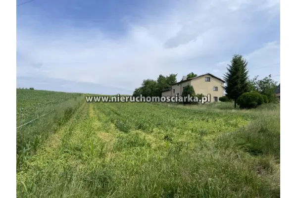 wodzisławski, Mszana, Duża działka budowlana Mszana