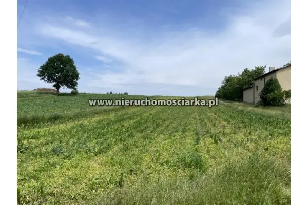 wodzisławski, Mszana, Duża działka budowlana Mszana