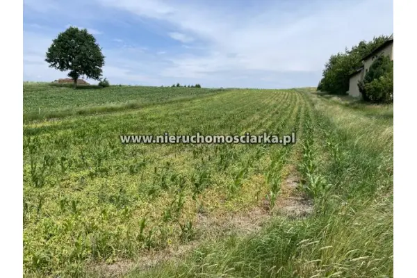 wodzisławski, Mszana, Duża działka budowlana Mszana