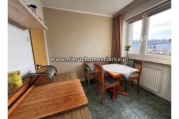 wodzisławski, Gorzyce, Turza Śląska, Solidny i przestronny dom Turza Śląska