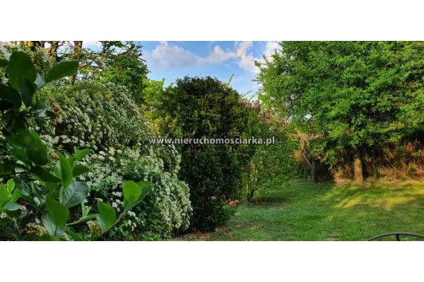 wodzisławski, Gorzyce, Turza Śląska, Solidny i przestronny dom Turza Śląska