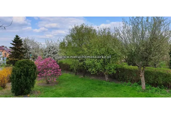 wodzisławski, Gorzyce, Turza Śląska, Solidny i przestronny dom Turza Śląska