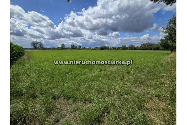 wodzisławski, Gorzyce, Bełsznica, Bełsznica, 18 arów, widok na góry, ślepa ulica