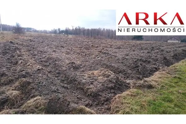 śląskie, wodzisławski, Wodzisław Śląski, Działki budowlane - Wodzisław Śląski Turzyczka