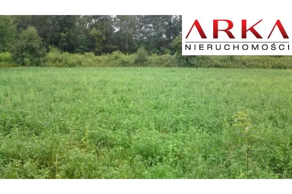 śląskie, wodzisławski, Wodzisław Śląski, Działka inwestycyjna -  Wodzisław Śląski