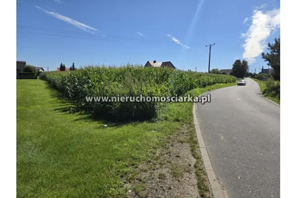 wodzisławski, Gorzyce, Działka Gorzyce DK78 ul. Rybnicka 68A