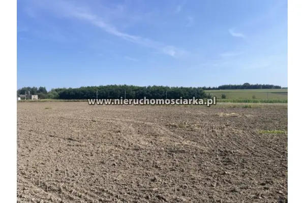 wodzisławski, Gorzyce, Działka budowlana 9 arów Gorzyce ul. Piaskowa