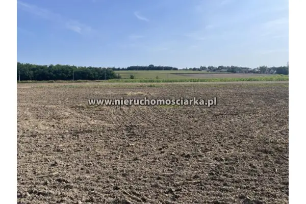 wodzisławski, Gorzyce, Działka budowlana 9 arów Gorzyce ul. Piaskowa