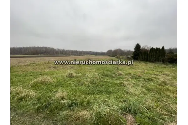 wodzisławski, Gorzyce, Duża działka budowlana 21 arów Gorzyce - Osiny