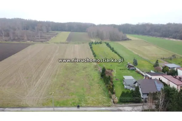wodzisławski, Gorzyce, Duża działka budowlana 21 arów Gorzyce - Osiny