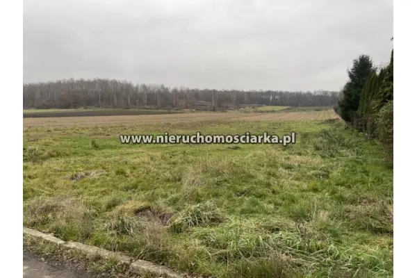 wodzisławski, Gorzyce, Duża działka budowlana 21 arów Gorzyce - Osiny