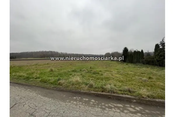 wodzisławski, Gorzyce, Duża działka budowlana 21 arów Gorzyce - Osiny