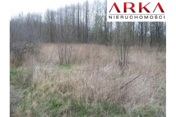 śląskie, wodzisławski, Gorzyce, Czyżowice, Działka inwestycyjna - Czyżowice ul. Nowa