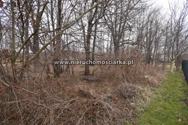 wodzisławski, Radlin, Działka budowlana Radlin - Rydułtowska