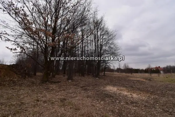 wodzisławski, Radlin, Działka budowlana Radlin - Rydułtowska