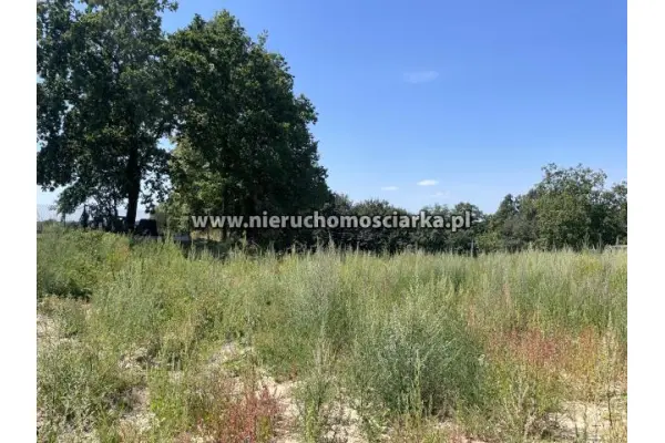 wodzisławski, Wodzisław Śląski, Dwie działki budowlane Wodzisław Jedłownik