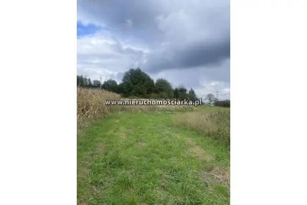 wodzisławski, Lubomia, Syrynia, Działka budowlano-rolna Syrynia ul. Wolności