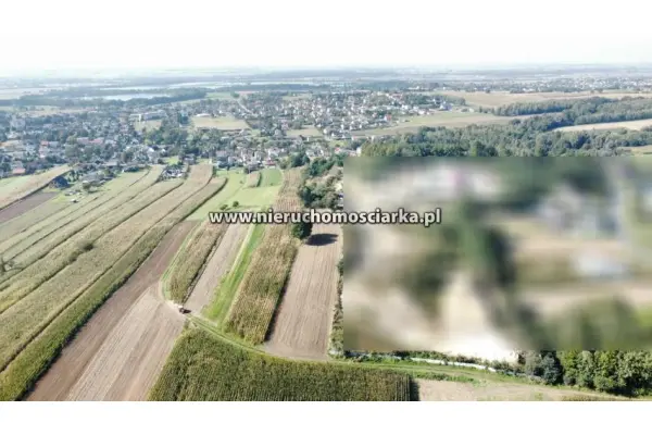 wodzisławski, Lubomia, Syrynia, Działka budowlano-rolna Syrynia ul. Wolności