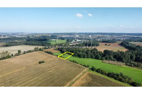 śląskie, wodzisławski, Lubomia, Syrynia, Działka znajdująca się na terenach zielonych