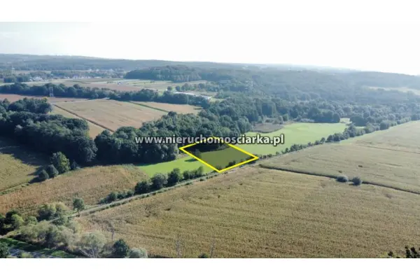 wodzisławski, Lubomia, Syrynia, Działka znajdująca się na terenach zielonych