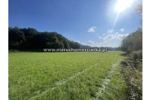 wodzisławski, Lubomia, Syrynia, Działka znajdująca się na terenach zielonych