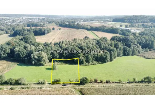 wodzisławski, Lubomia, Syrynia, Działka znajdująca się na terenach zielonych