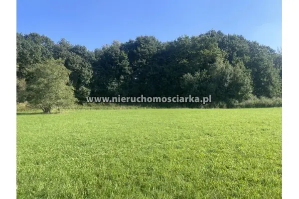 wodzisławski, Lubomia, Syrynia, Działka znajdująca się na terenach zielonych