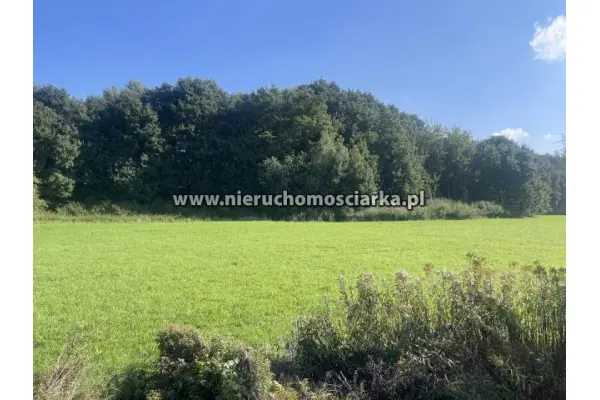 wodzisławski, Lubomia, Syrynia, Działka znajdująca się na terenach zielonych