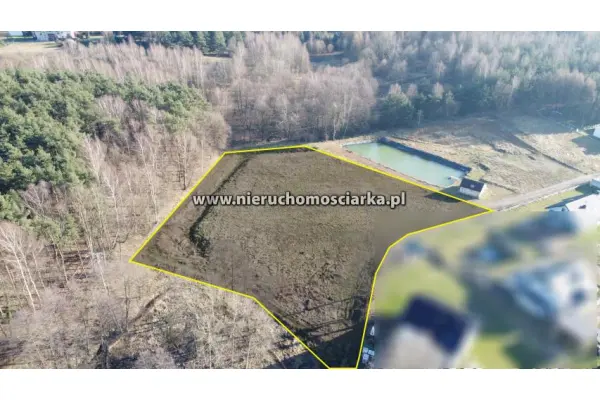 wodzisławski, Wodzisław Śląski, Działka inwestycyjna - droga południowa Wodzisław Śląski