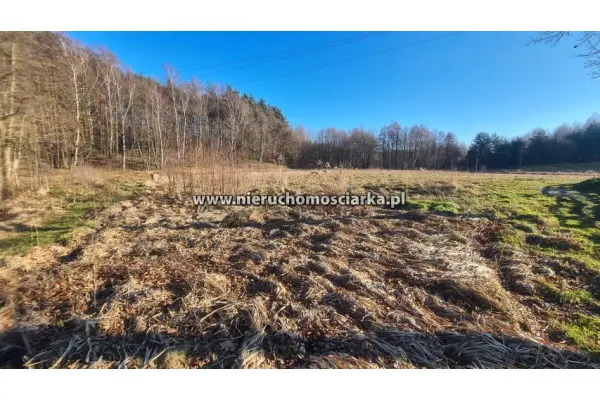 wodzisławski, Wodzisław Śląski, Działka inwestycyjna - droga południowa Wodzisław Śląski