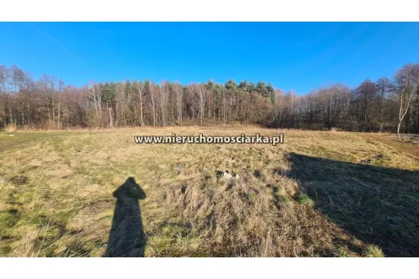 wodzisławski, Wodzisław Śląski, Działka inwestycyjna - droga południowa Wodzisław Śląski