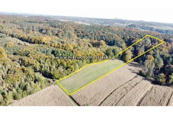 śląskie, wodzisławski, Lubomia, Syrynia, Działka rolno-leśna 1,53 hektara