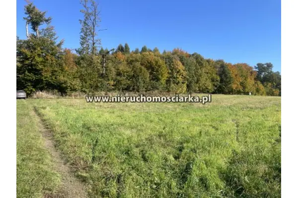 wodzisławski, Lubomia, Syrynia, Działka rolno-leśna 1,53 hektara