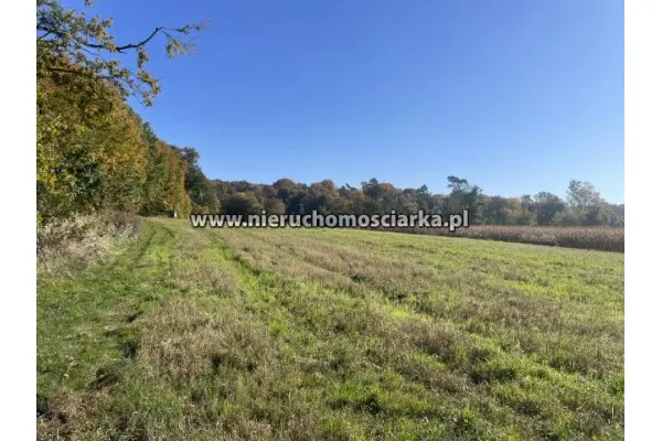 wodzisławski, Lubomia, Syrynia, Działka rolno-leśna 1,53 hektara