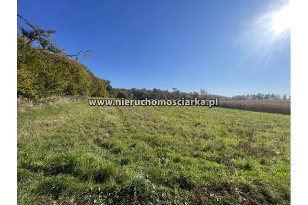 wodzisławski, Lubomia, Syrynia, Działka rolno-leśna 1,53 hektara