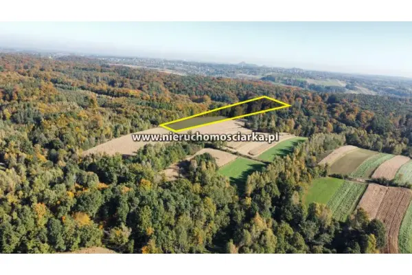 wodzisławski, Lubomia, Syrynia, Działka rolno-leśna 1,53 hektara