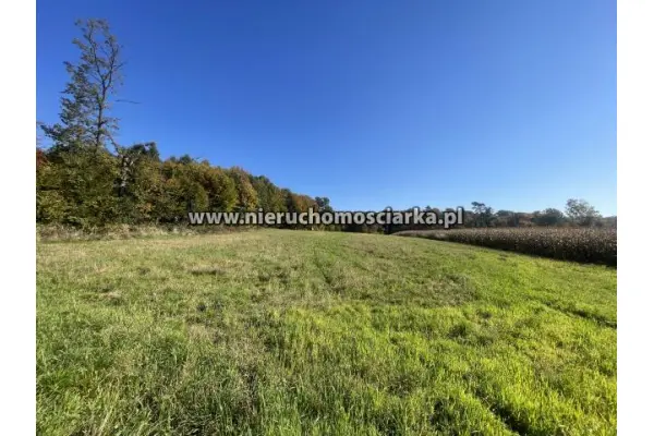 wodzisławski, Lubomia, Syrynia, Działka rolno-leśna 1,53 hektara