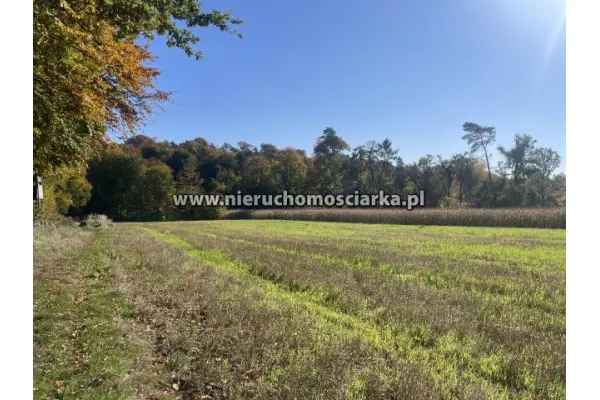 wodzisławski, Lubomia, Syrynia, Działka rolno-leśna 1,53 hektara