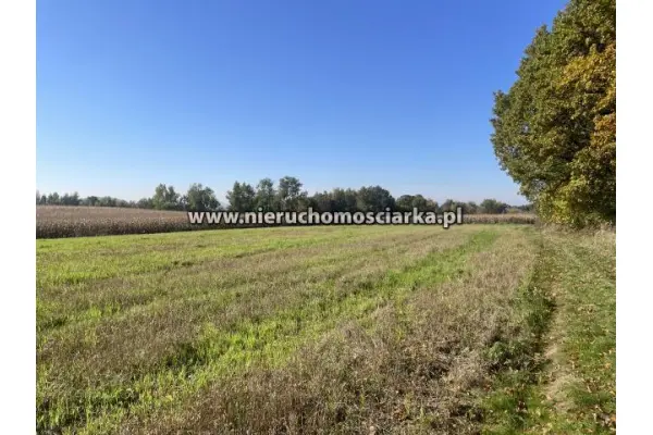 wodzisławski, Lubomia, Syrynia, Działka rolno-leśna 1,53 hektara