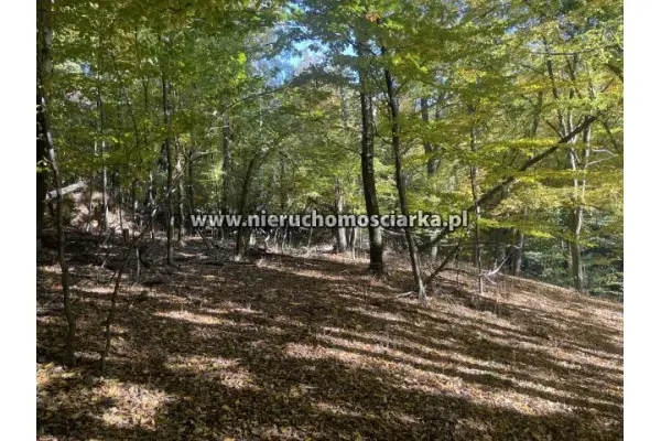 wodzisławski, Lubomia, Syrynia, Działka rolno-leśna 1,53 hektara