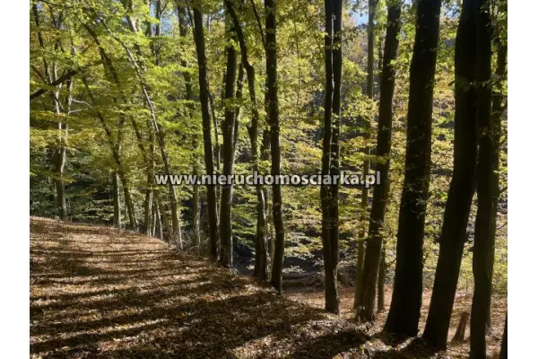 wodzisławski, Lubomia, Syrynia, Działka rolno-leśna 1,53 hektara