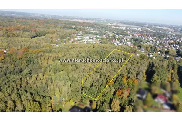 śląskie, wodzisławski, Gorzyce, Czyżowice, Działka leśna 1,54 ha Czyżowice ul. Gorzycka
