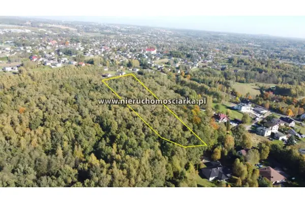 wodzisławski, Gorzyce, Czyżowice, Działka leśna 1,54 ha Czyżowice ul. Gorzycka