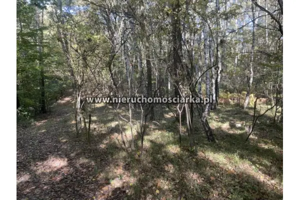 wodzisławski, Gorzyce, Czyżowice, Działka leśna 1,54 ha Czyżowice ul. Gorzycka