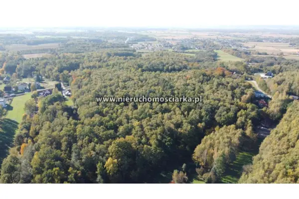 wodzisławski, Gorzyce, Czyżowice, Działka leśna 1,54 ha Czyżowice ul. Gorzycka