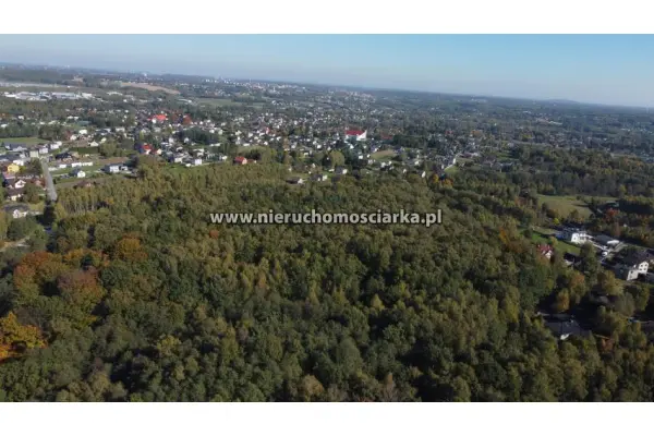 wodzisławski, Gorzyce, Czyżowice, Działka leśna 1,54 ha Czyżowice ul. Gorzycka