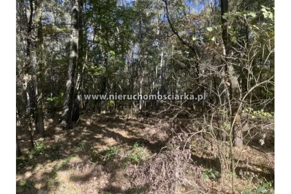 wodzisławski, Gorzyce, Czyżowice, Działka leśna 1,54 ha Czyżowice ul. Gorzycka