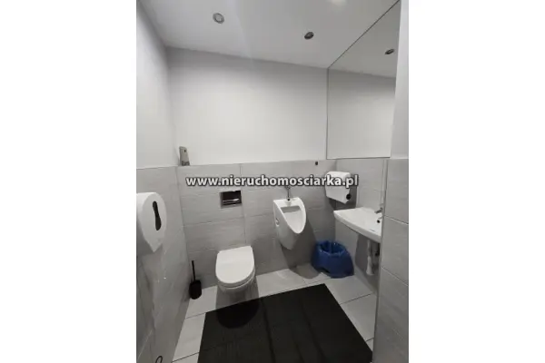 wodzisławski, Gorzyce, Gorzyczki, Powierzchnie biurowo-usługowe do wynajęcia Gorzyczki