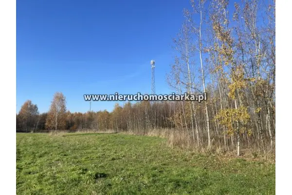 wodzisławski, Godów, Działka usługowa 38 arów